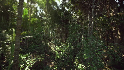 Obraz premium dense tropical forest patrolled by ranger, hidden footpath tangled with vines, antipoaching vigilance, patrol tracks in mud, remote reserve atmosphere, urgent