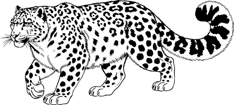Elegant monochrome sumi-e depiction of a captivating snow leopar
