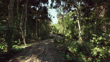 rugged trekking route through dense canopy, narrow track with exposed roots and steep gradient, adrenaline tone tailored for outdoor brands and adventure travel © icetray