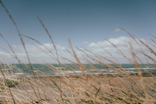 Testigos del viento