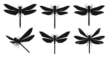 Collection of dragonfly silhouettes in various flight positions and angles, illustrating insect diversity and wing anatomy