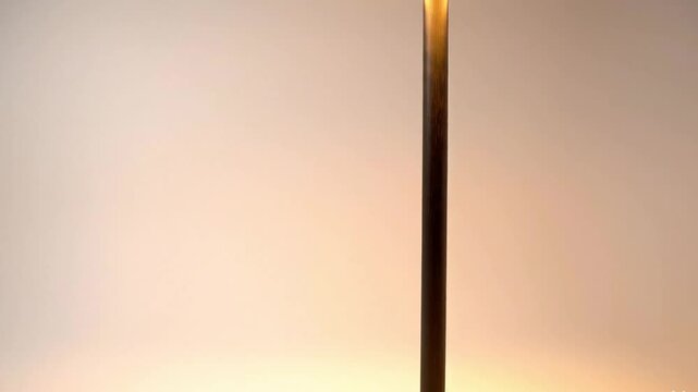 Elegant contemporary floor lamp with a bright circular LED light source