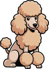 Cute cartoon a illustrator vector Standard Poodle