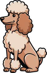 Cute cartoon a illustrator vector Standard Poodle