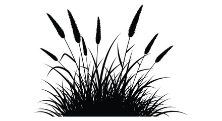A striking black and white depiction of cattails and grasses against a blank background a bold silhouette high quality © Asikder02