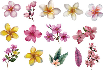 Fototapeta premium set of colorful flowers