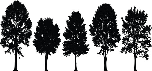 Fototapeta premium Black silhouette illustration of deciduous trees with varied canopy shapes and foliage density, ideal for forestry, landscape architecture, and environmental design projects