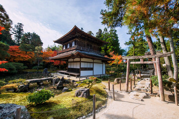 Fototapeta premium Torii gate by silver Pavilion of Ginkakuji temple in fall, Kyoto