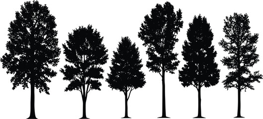 Fototapeta premium Black silhouette illustration of deciduous trees in diverse shapes and foliage patterns, perfect for forestry, landscape architecture, and environmental design projects