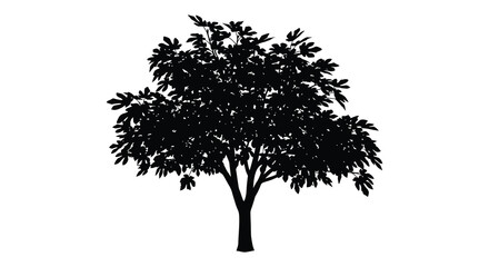 A striking black silhouette of a leafy tree stands prominently against a stark white background silhouette high quality professional © Asikder02