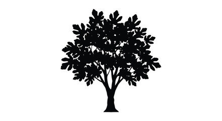 A striking black silhouette of a lush rounded tree with detailed foliage against a stark white background silhouette © Asikder02