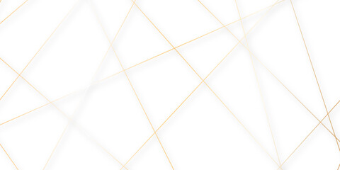 Abstract colorful lines on transparent background. random chaotic lines abstract geometric patterns of modern design. geometric design created using light colorful digital net web line technology.