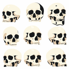 Set of nine human skull illustrations in vector style for conceptual projects