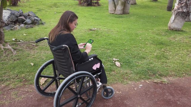 woman in wheelchair using smartphone, student scrolling messages along leafy park path green grass and trees border dirt trail, soft daylight and quiet mood,