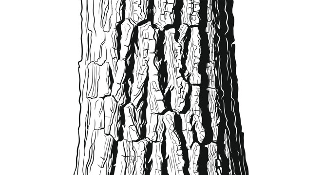 A detailed illustration showcases the textured bark of a tree trunk against a stark white background silhouette high quality