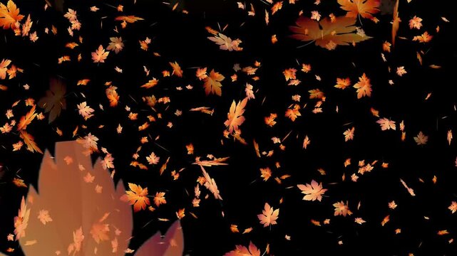 Abstract maple autumn leaves slow motion seasonal overlays yellow leaves seamless smooth looped animation on black background