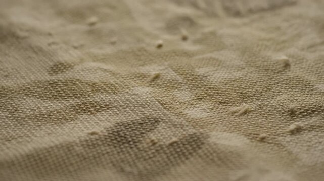 Close Up Shot Highlighting Rustic Appearance And Natural Color Palette Of Aged Burlap Material
