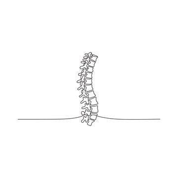 A minimalist line drawing depicts a human spine showcasing its complex structure