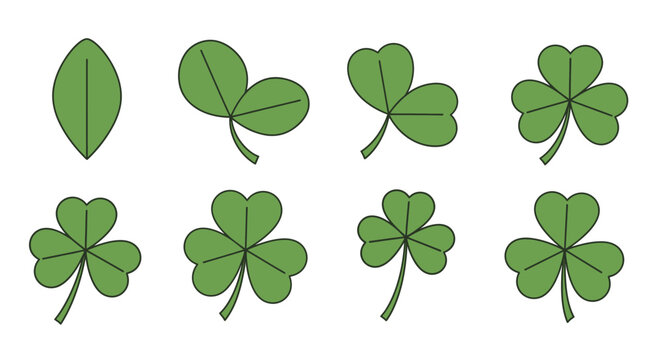 Variations of clover leaves showing single double triple and quadruple leaflets