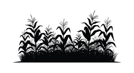 A dense black field of corn stalks and foliage stands against a stark white backdrop a dramatic silhouette © Nupur02