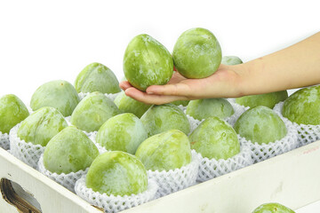 Fresh Gutian Green Fruits from Fujian China - Hand Selecting Premium Quality Produce in Protective...