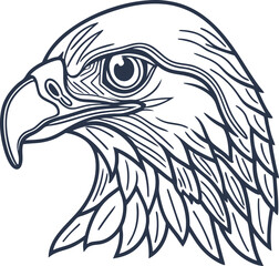 Obraz premium Detailed eagle head illustration with sharp beak and feather pattern in monochrome line art