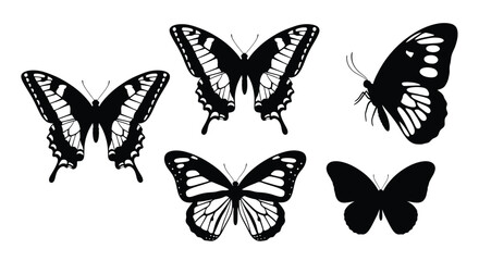 Collection of black butterflies with intricate wing patterns a striking silhouette © Lhvect02