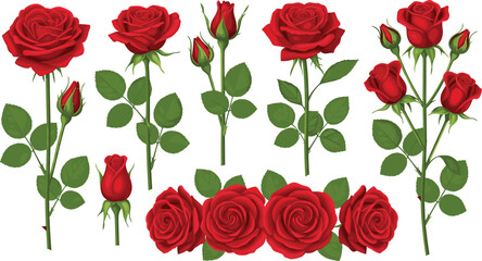 Elegant Red Rose Vector Collection Featuring Long Stem Blooms, Buds, and Floral Borders for Wedding Invitations, Romantic Branding, and Valentines Day Graphics