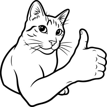 Illustration of a cat with a thumb's up expression