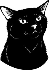 Illustration of a cat with a serious facial expression