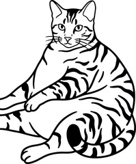 Illustration of a chubby cat on a sitting position