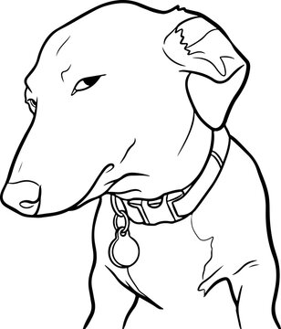 Illustration of a dog with a skeptical facial expression