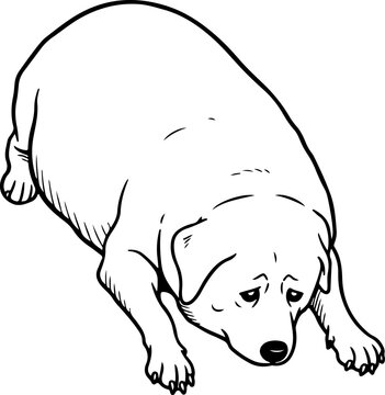 Illustration of a chubby dog laying down