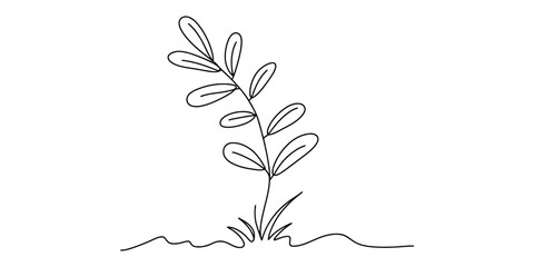 Simple hand drawn plant seedling growing from the soil in a minimalist line art style. Vector, illustration © Creative_Outline2019