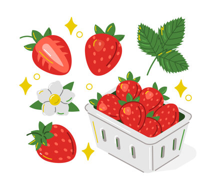 Whole and half strawberry with leaves and flowers. Berries in cardboard supermarket carton box vector illustration.