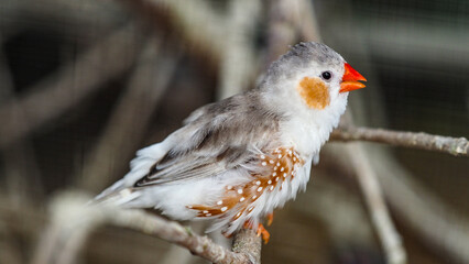 OLYMPUS DIGITAL CAMERA © Marta