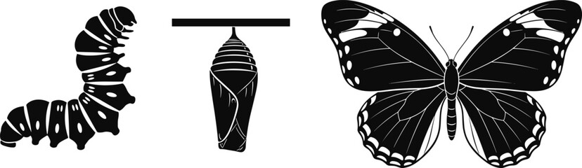 Butterfly life cycle silhouette showing caterpillar chrysalis and adult insect metamorphosis vector illustration set © Ayejoddin