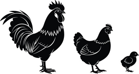 Black and white silhouette vector collection of a proud rooster hen and small chick for farm poultry and organic agriculture branding concepts. © mstLilima