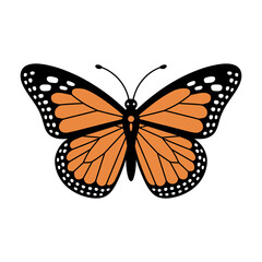 Fototapeta premium A beautiful orange and black monarch butterfly isolated on transparent background with white spots on its wings
