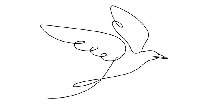 A simple continuous line art illustration depicting a small bird in flight against a plain white background. Vector, illustration