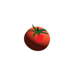 tomato on a white background