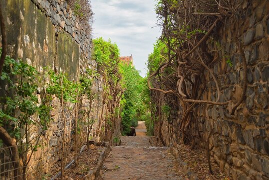Quiet alley in Goree Island, Senegal3