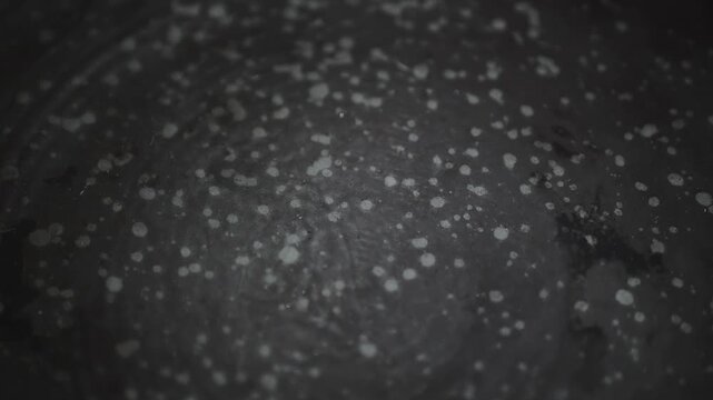 A dark plate shows a design of white spots scattered across its surface, indicating use and serving food.