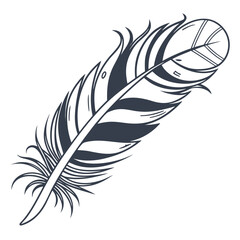 Obraz premium Black and white feather with basketball sports quill