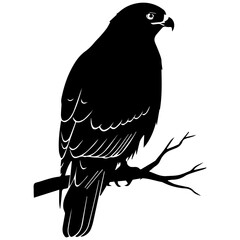 Obraz premium Black silhouette of a hawk perched on a branch, majestic bird of prey emblem