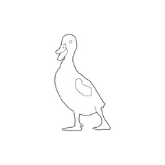 Fototapeta premium Baby Duck Silhouette Line Art Black and White Vector.