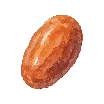 Watercolor typical Ramadan dates