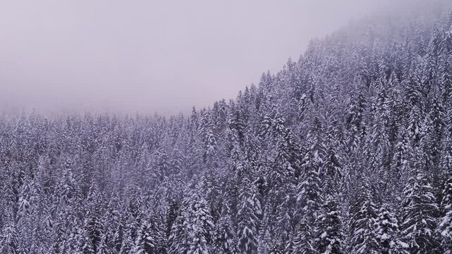 Italian mountain in the winter 