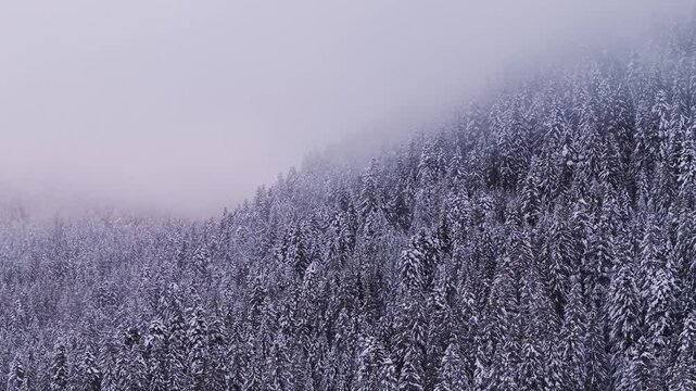 Italian mountain in the winter 