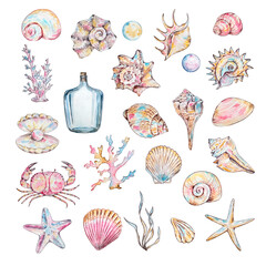 Watercolor seashells set, underwater animals and floral ocean.